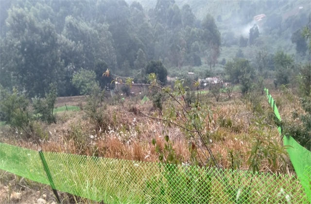 Kodai property